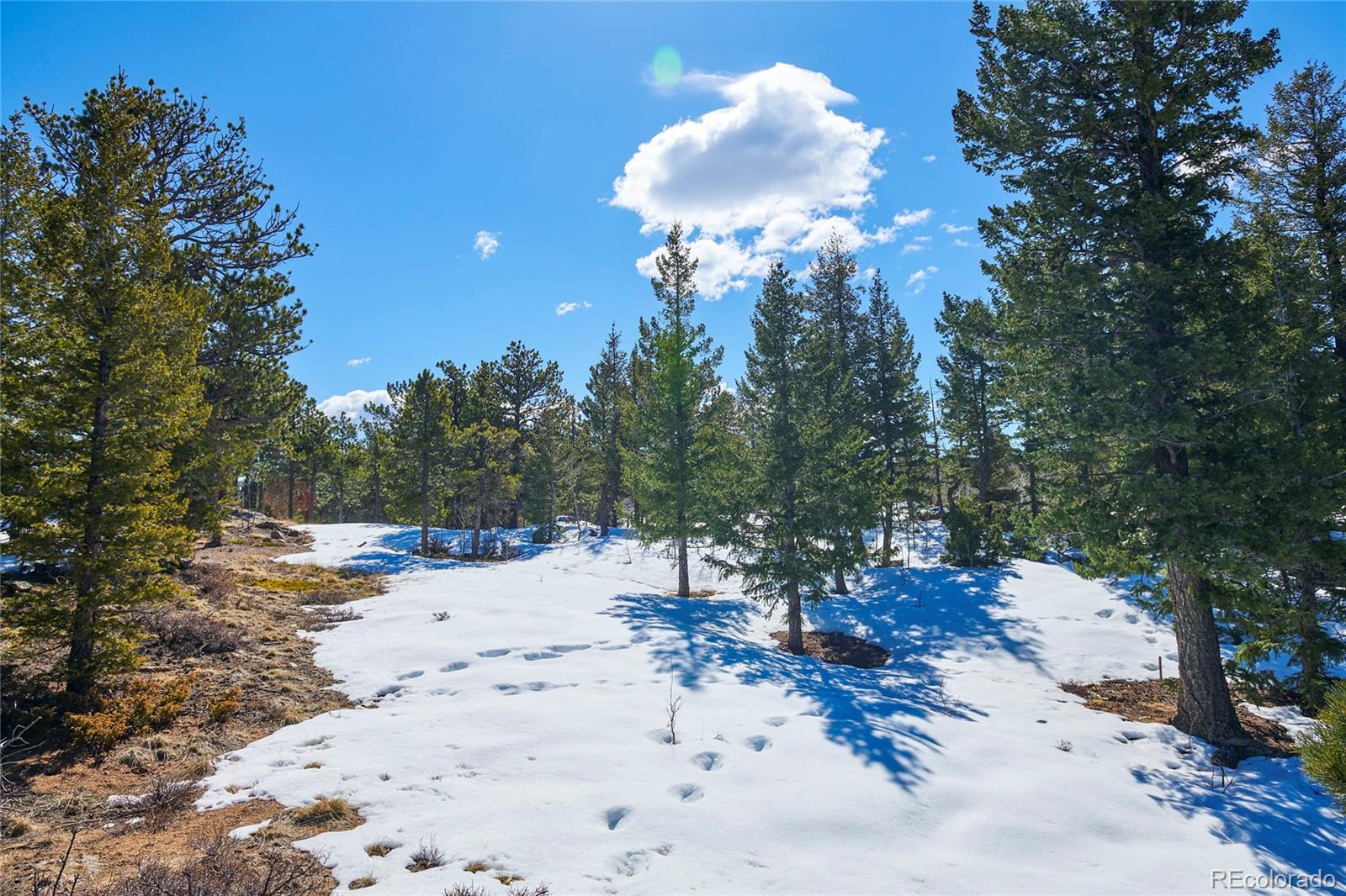 815 Cougar Run Nederland CO 80466