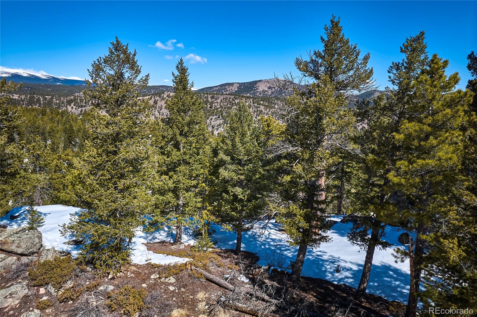 815 Cougar Run Nederland CO 80466