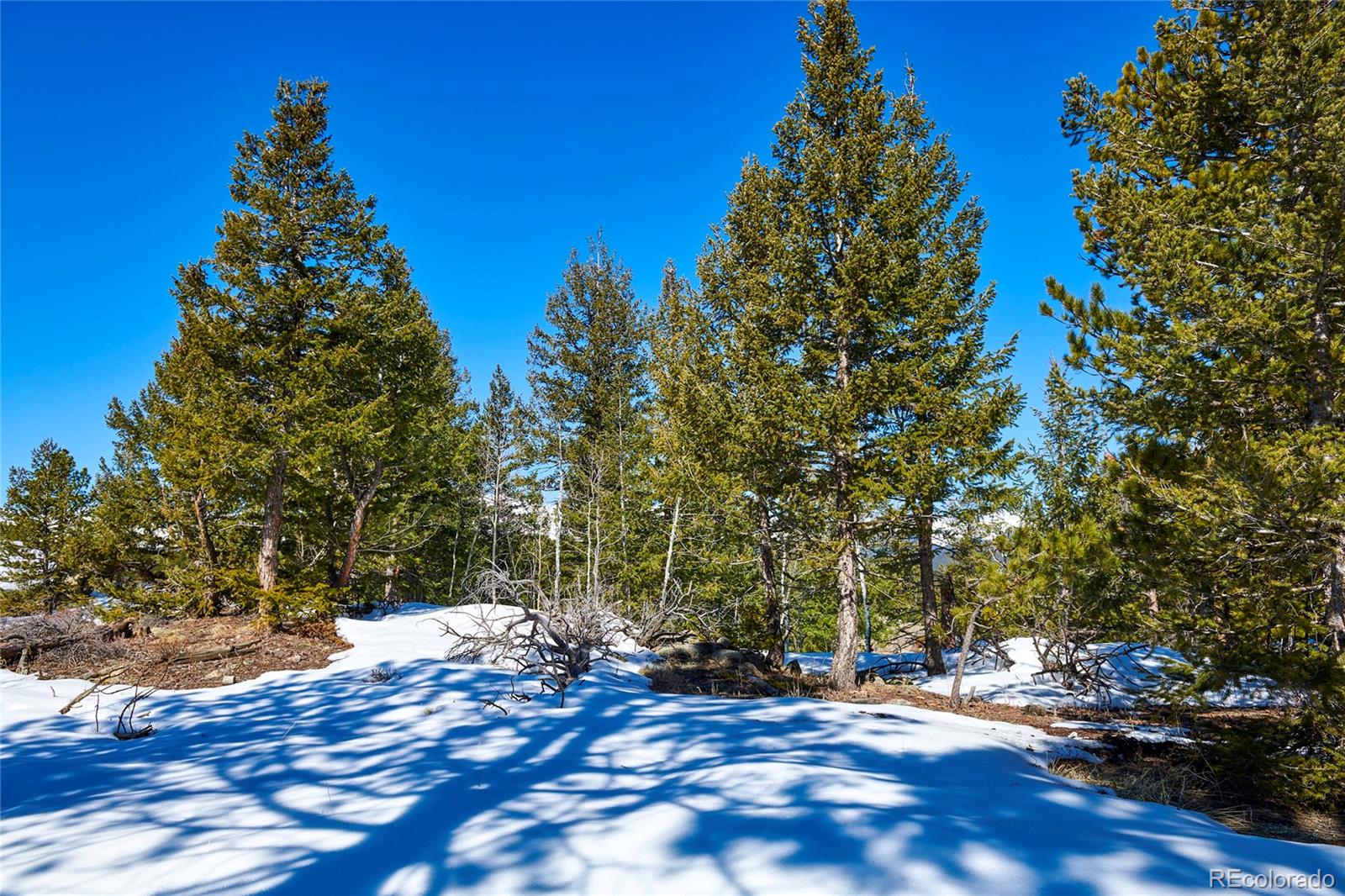 815 Cougar Run Nederland CO 80466