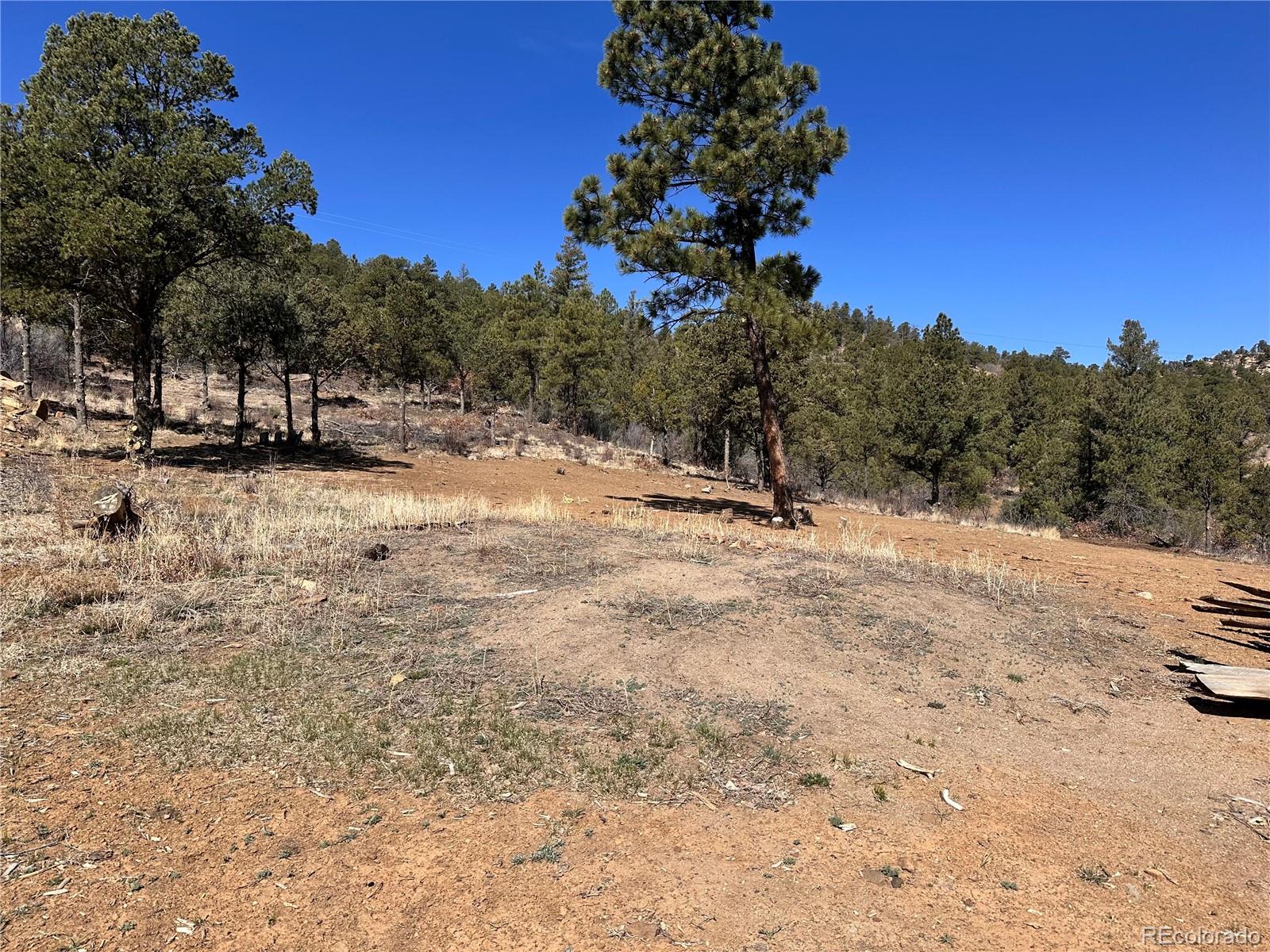 000 Big Pine Ridge Weston CO 81091
