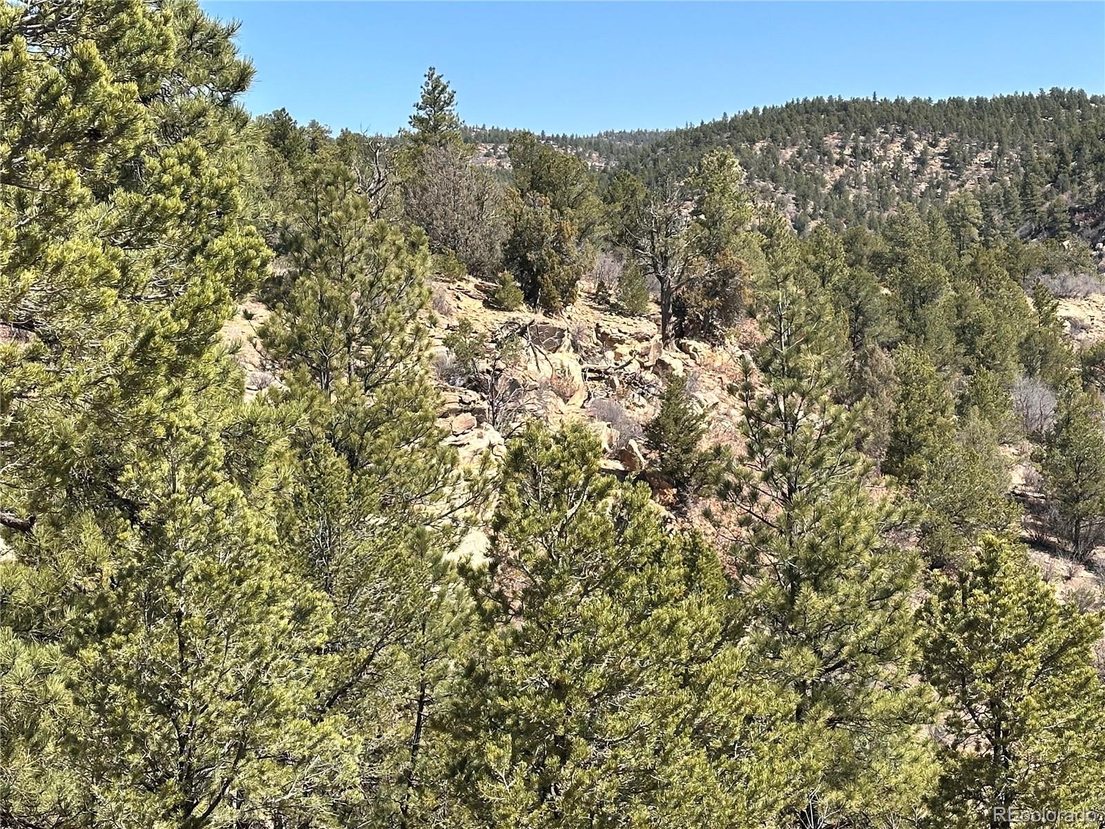 000 Big Pine Ridge Weston CO 81091