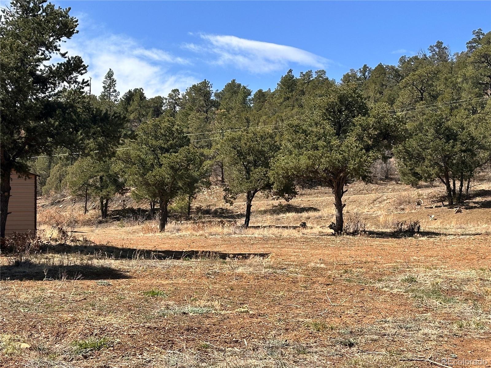 000 Big Pine Ridge Weston CO 81091