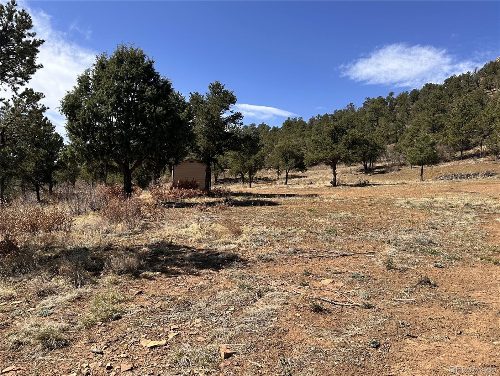 000 Big Pine Ridge Weston CO 81091