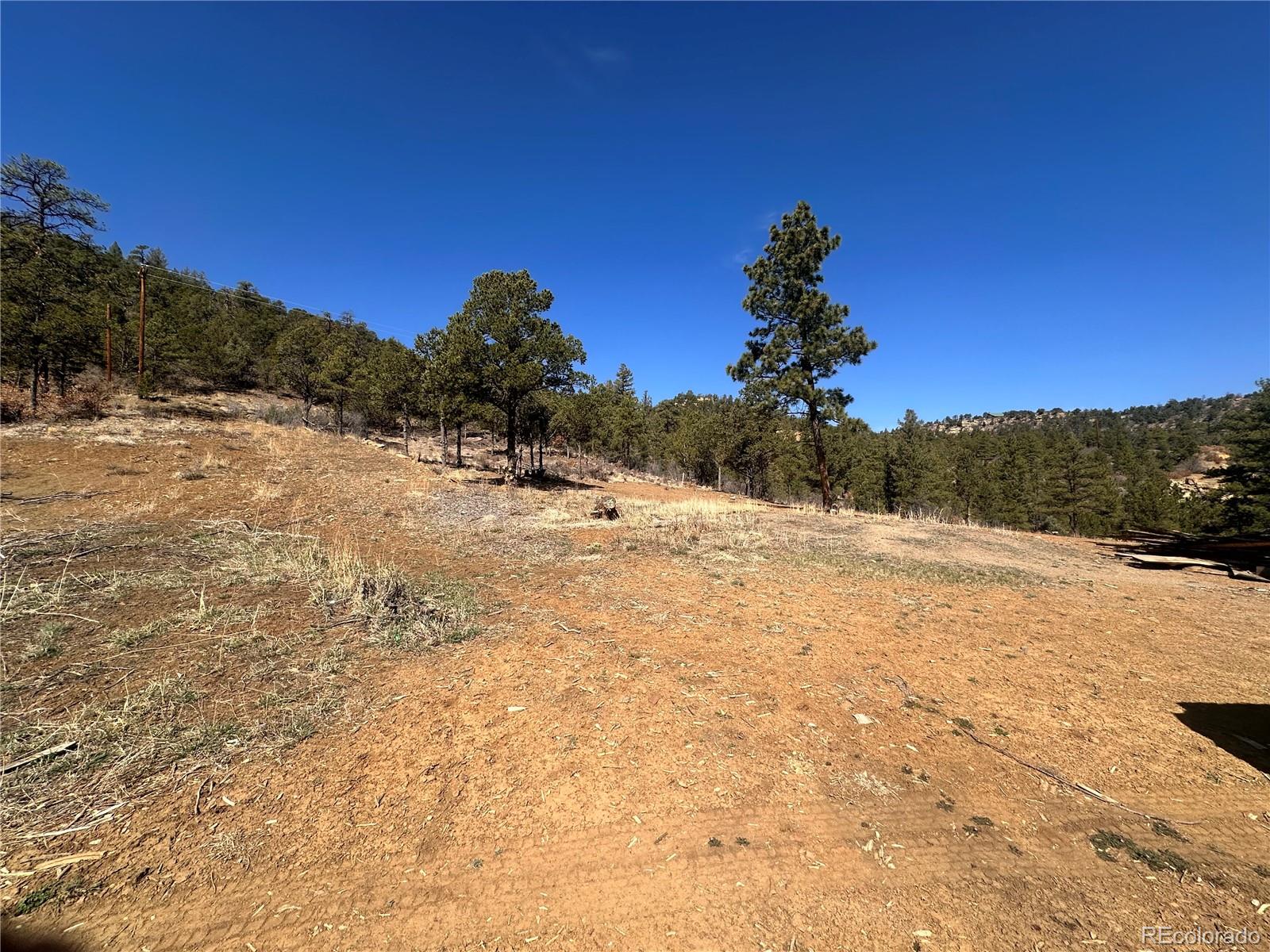 000 Big Pine Ridge Weston CO 81091