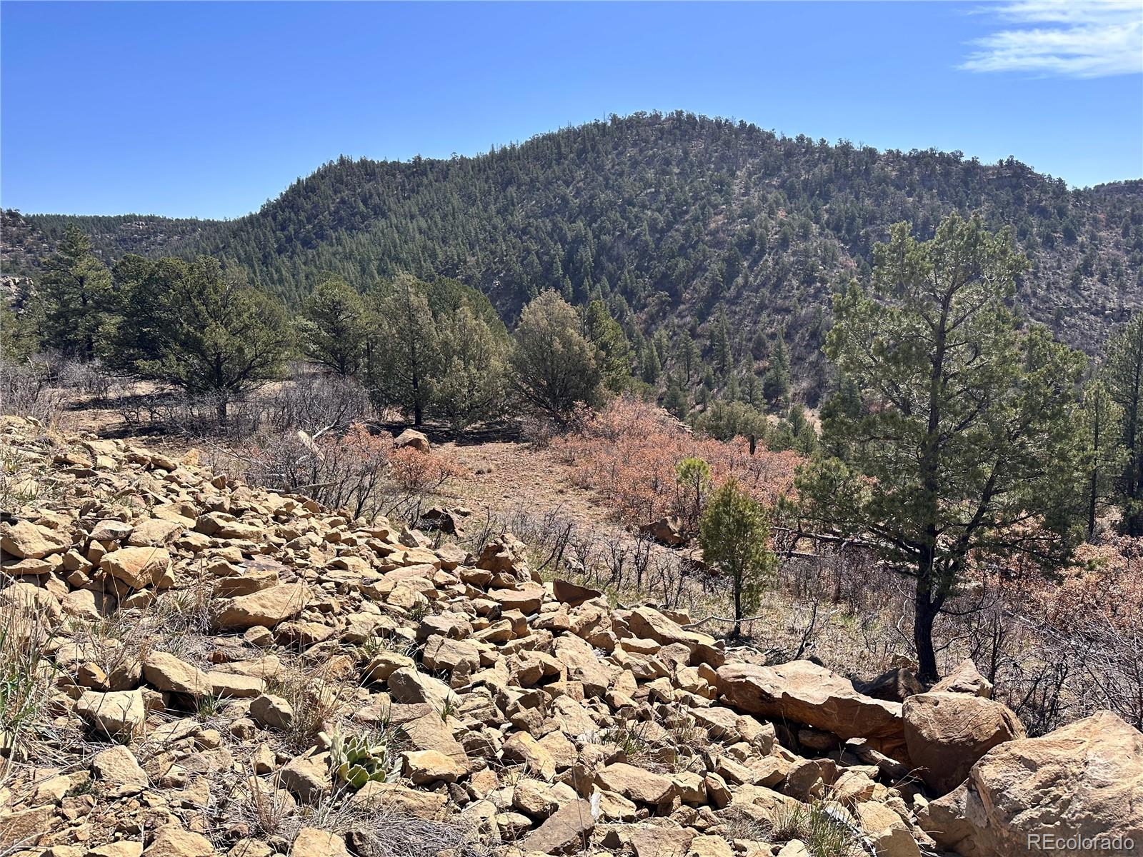 000 Big Pine Ridge Weston CO 81091