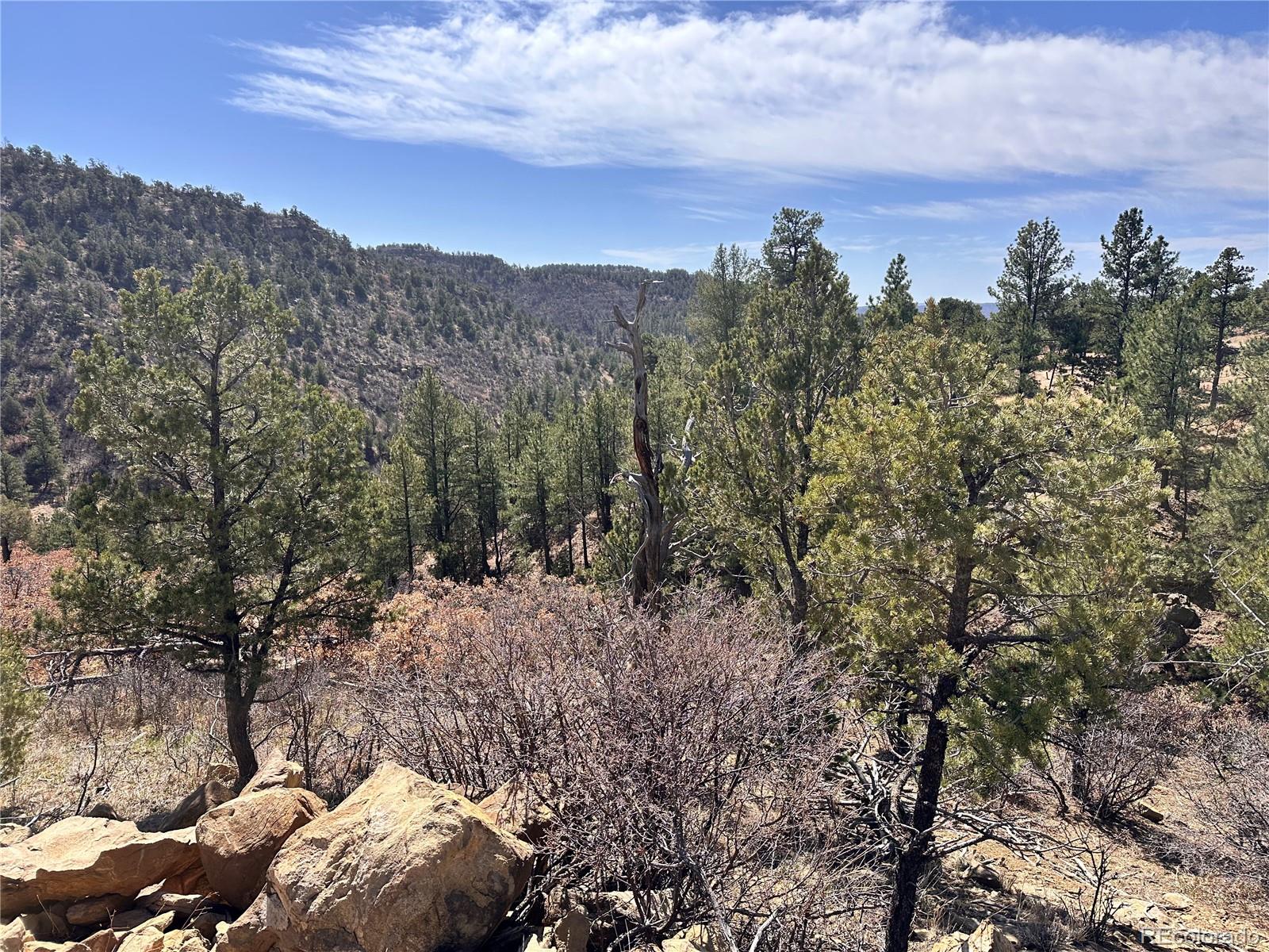 000 Big Pine Ridge Weston CO 81091