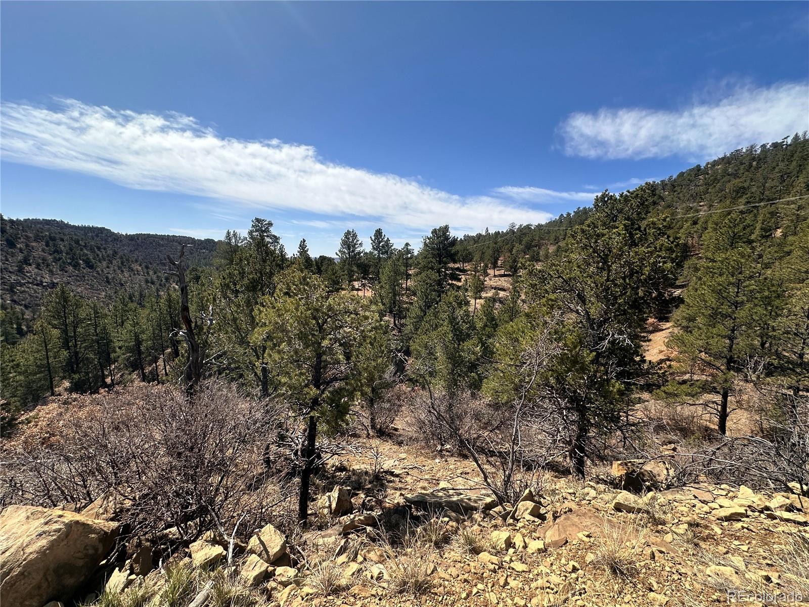 000 Big Pine Ridge Weston CO 81091