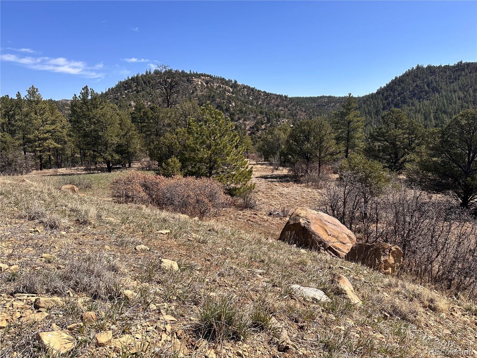 000 Big Pine Ridge Weston CO 81091