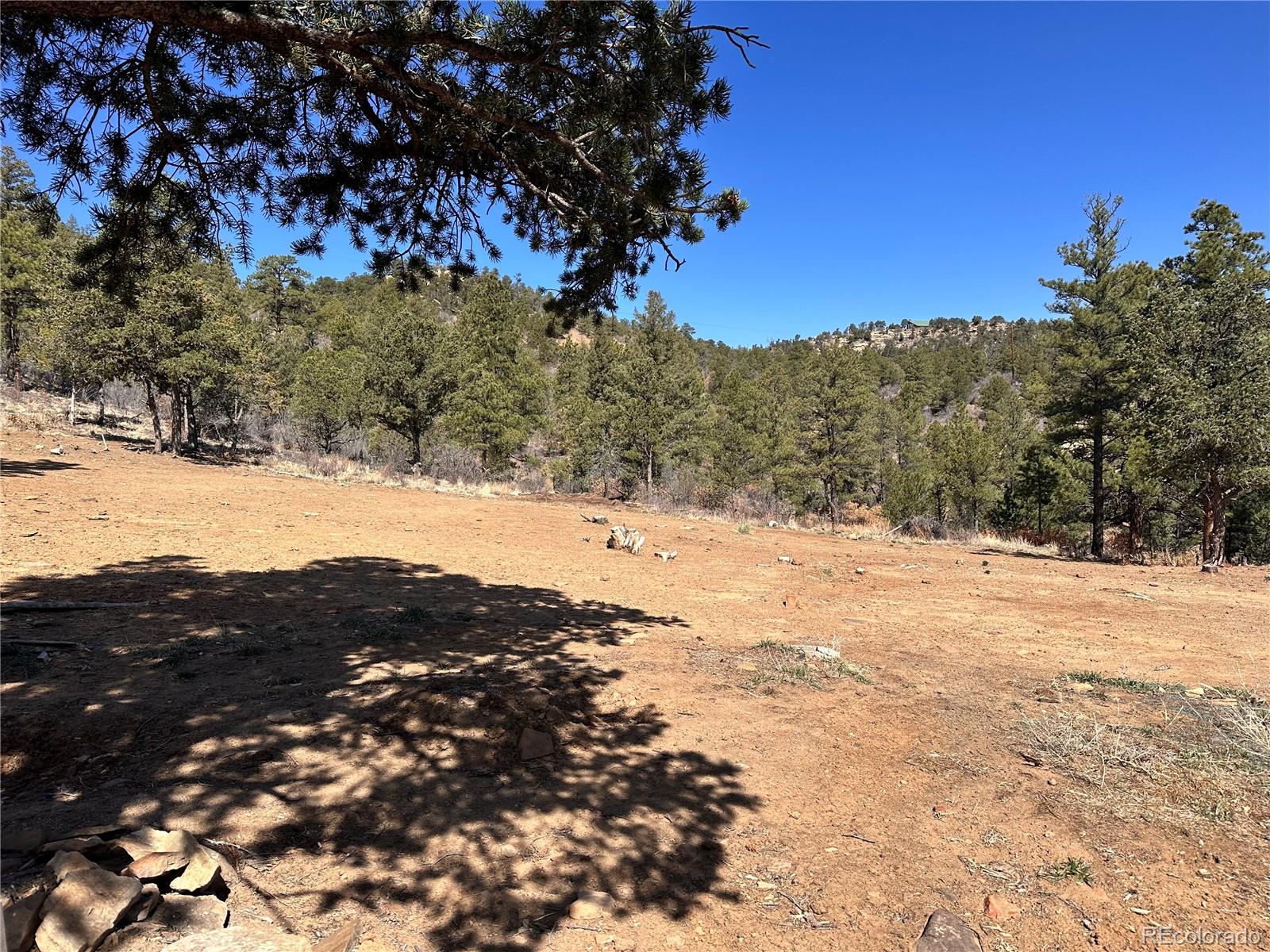 000 Big Pine Ridge Weston CO 81091