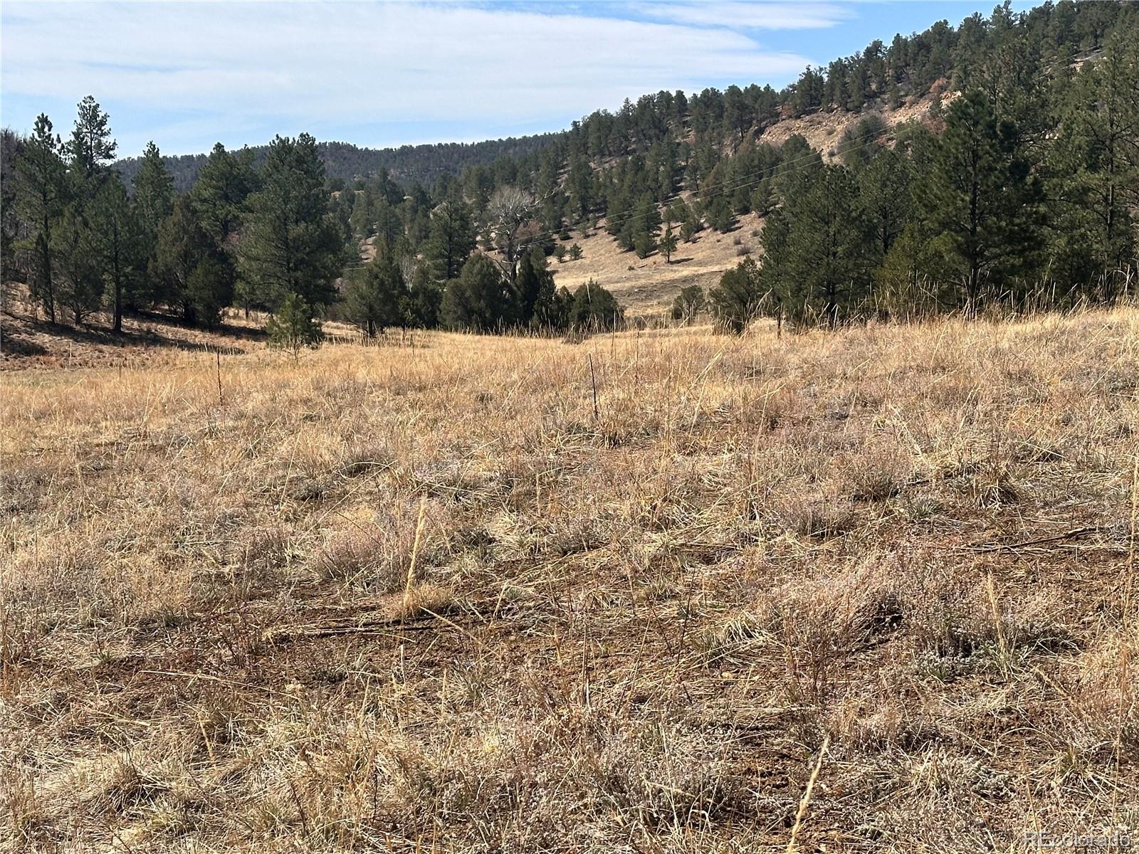 000 Big Pine Ridge Weston CO 81091
