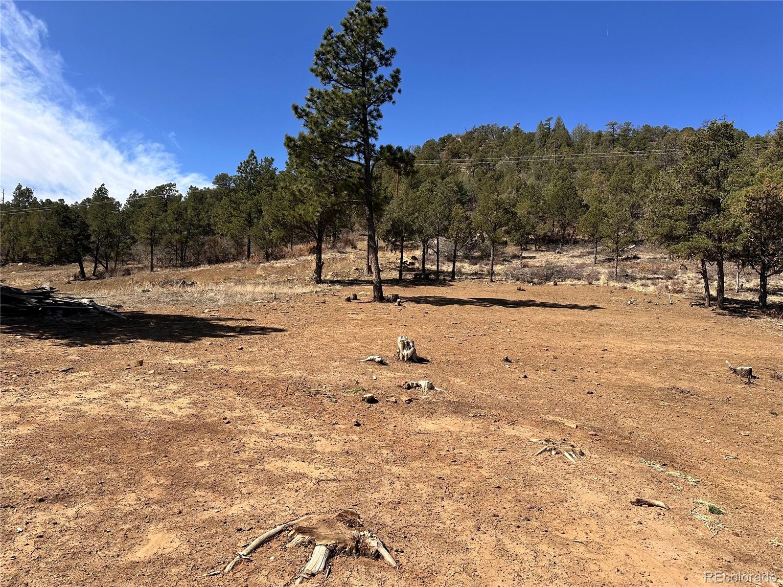 000 Big Pine Ridge Weston CO 81091