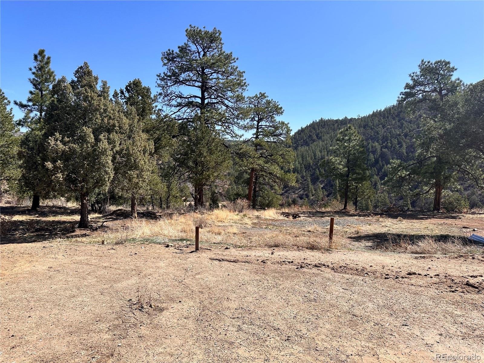 000 Big Pine Ridge Weston CO 81091