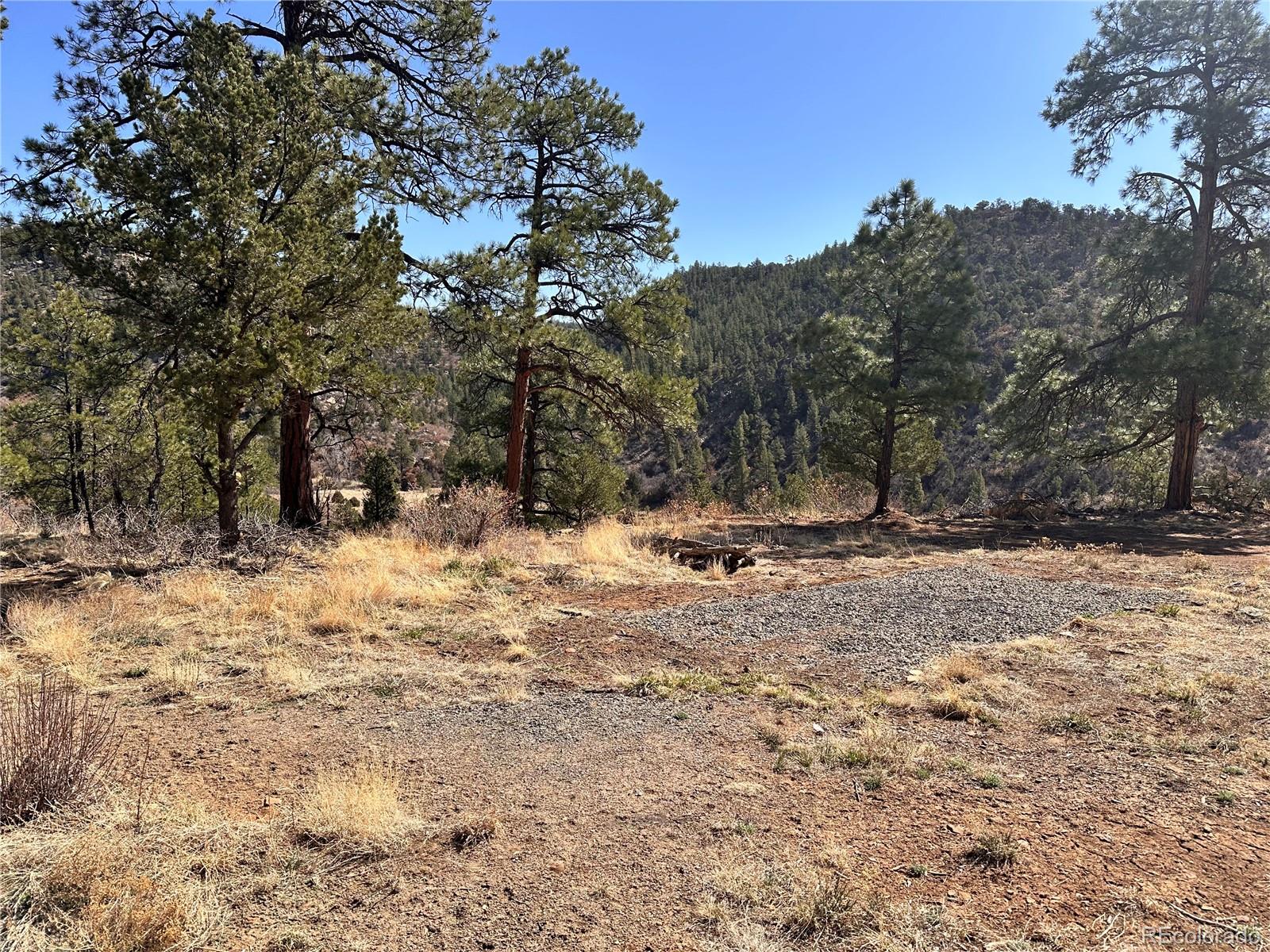 000 Big Pine Ridge Weston CO 81091