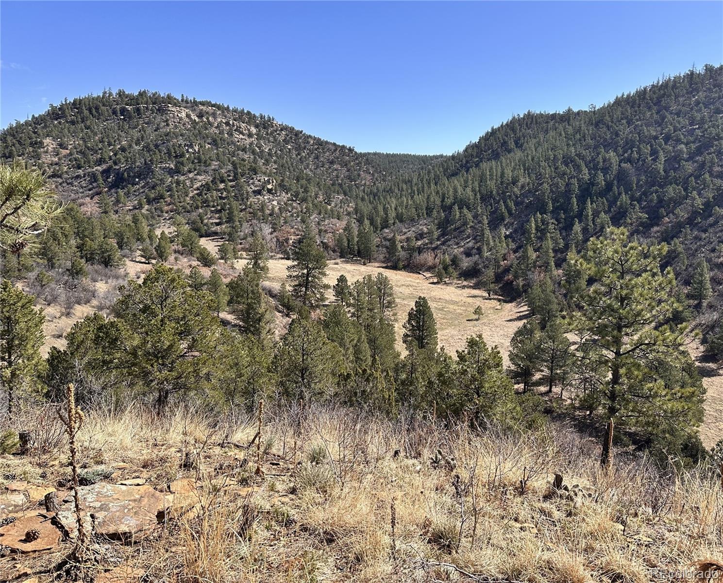 000 Big Pine Ridge Weston CO 81091