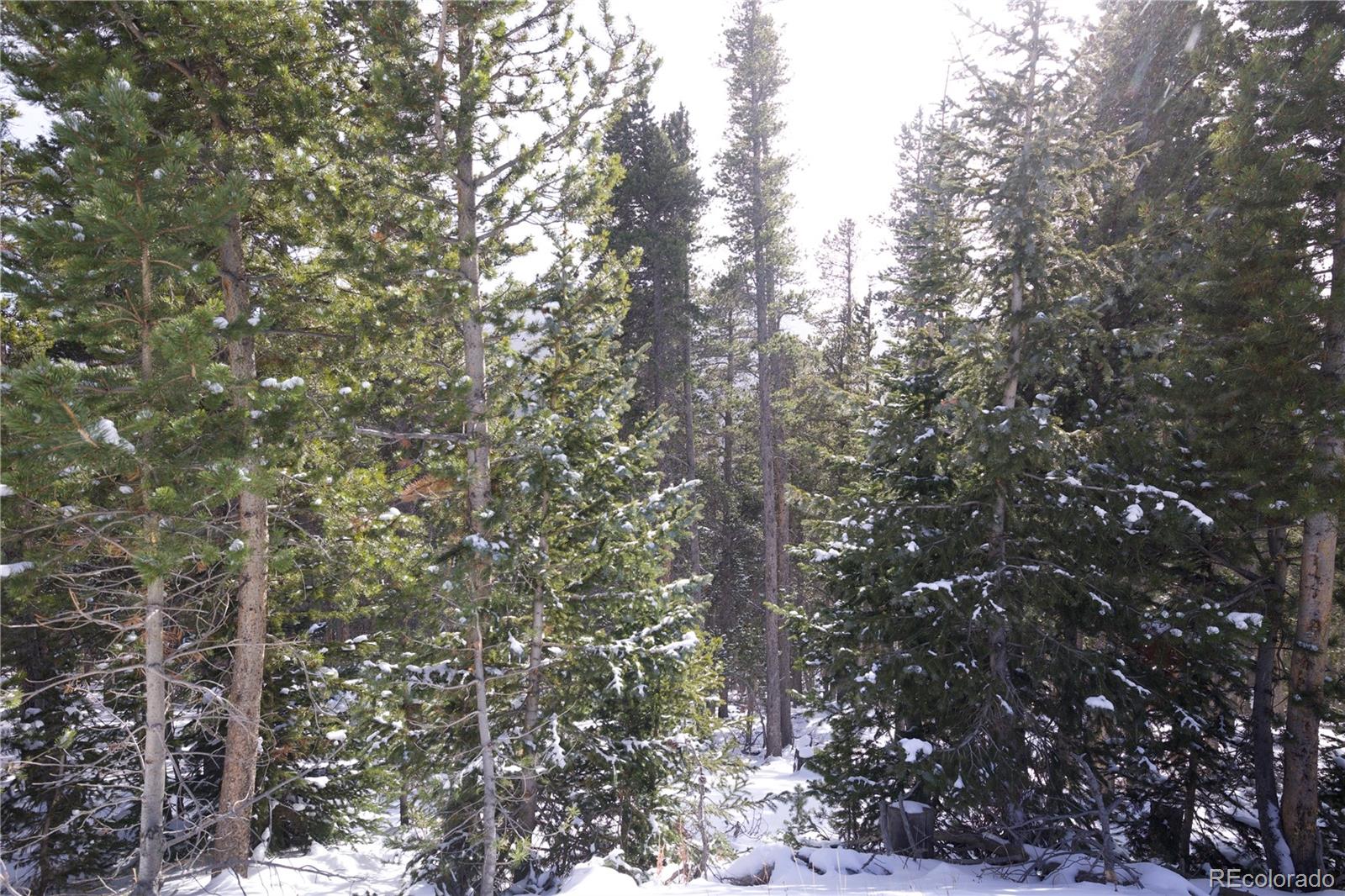 Lot 37 Vista Road Idaho Springs CO 80452