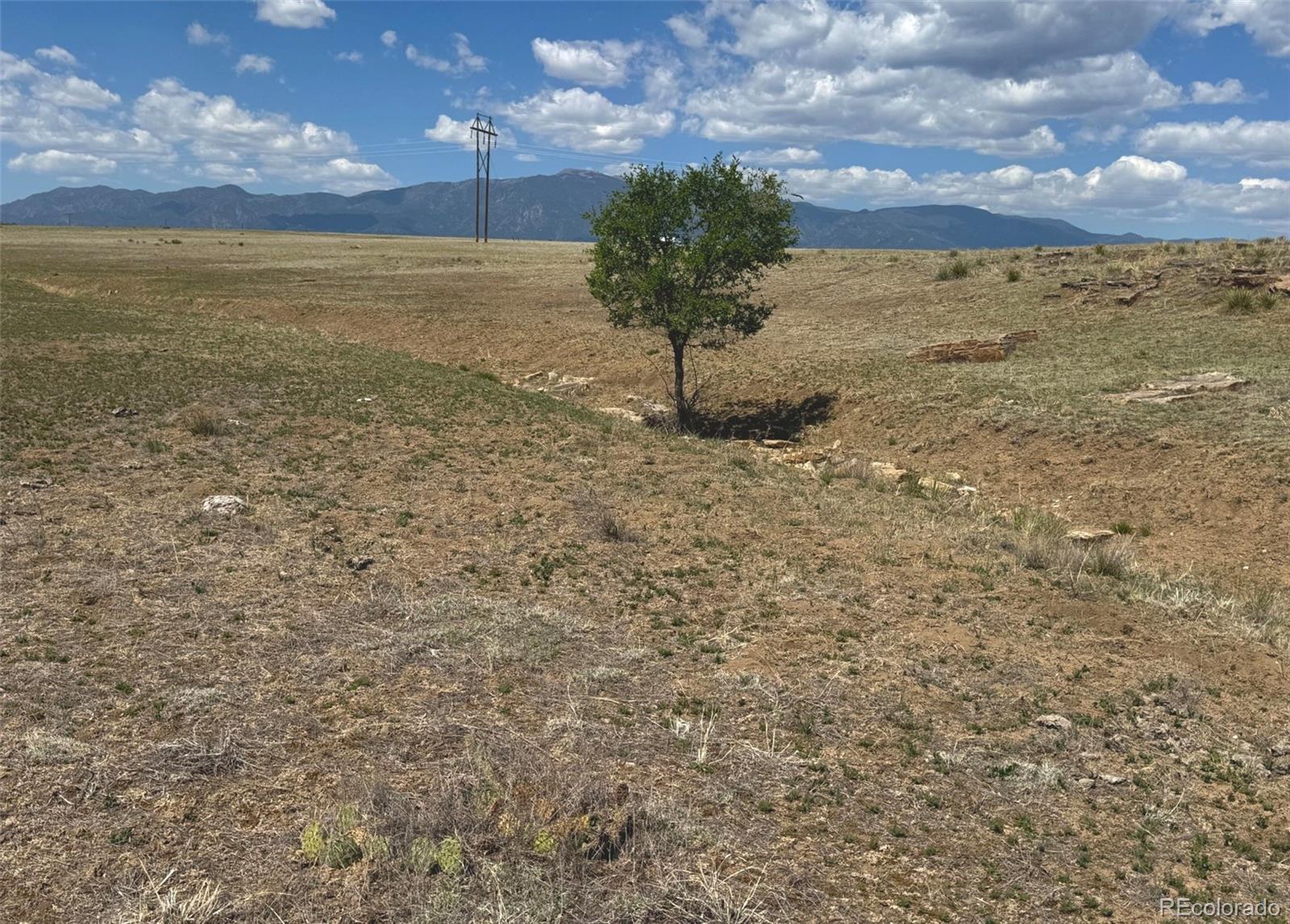 Tbd Lot 13a Pickney Road Rye CO 81069