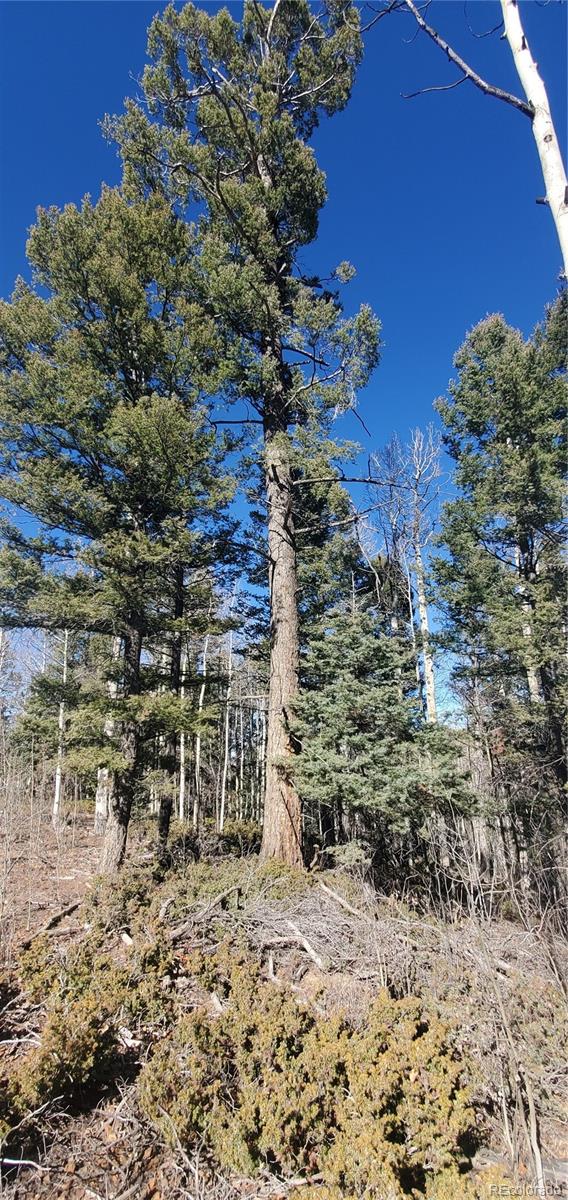 Lot 6060 Forbes Road San Luis CO 81152