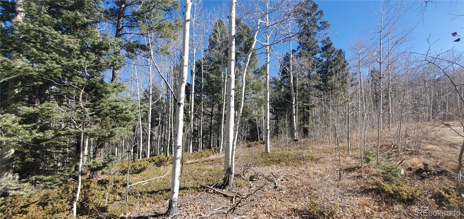 Lot 6060 Forbes Road San Luis CO 81152