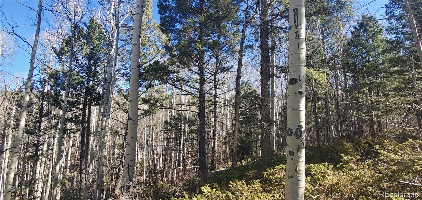 Lot 6060 Forbes Road San Luis CO 81152