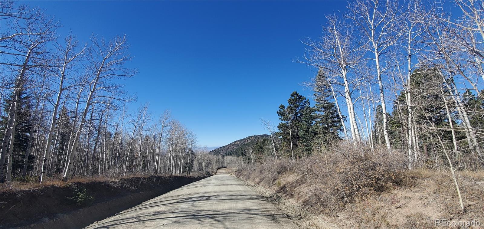 Lot 6060 Forbes Road San Luis CO 81152