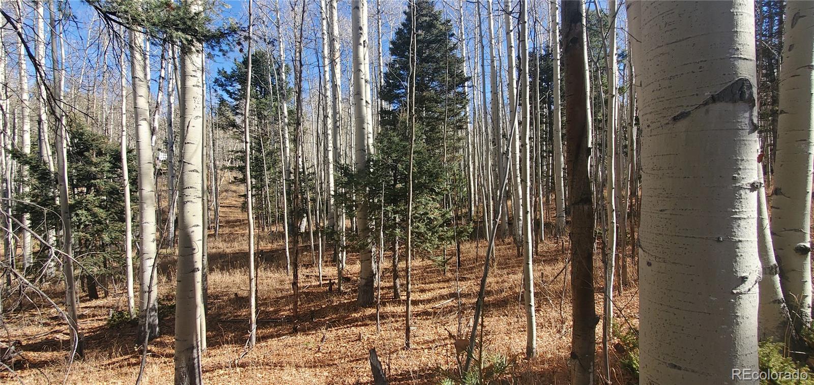 Lot 6060 Forbes Road San Luis CO 81152