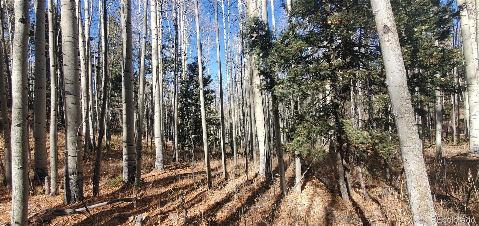 Lot 6060 Forbes Road San Luis CO 81152