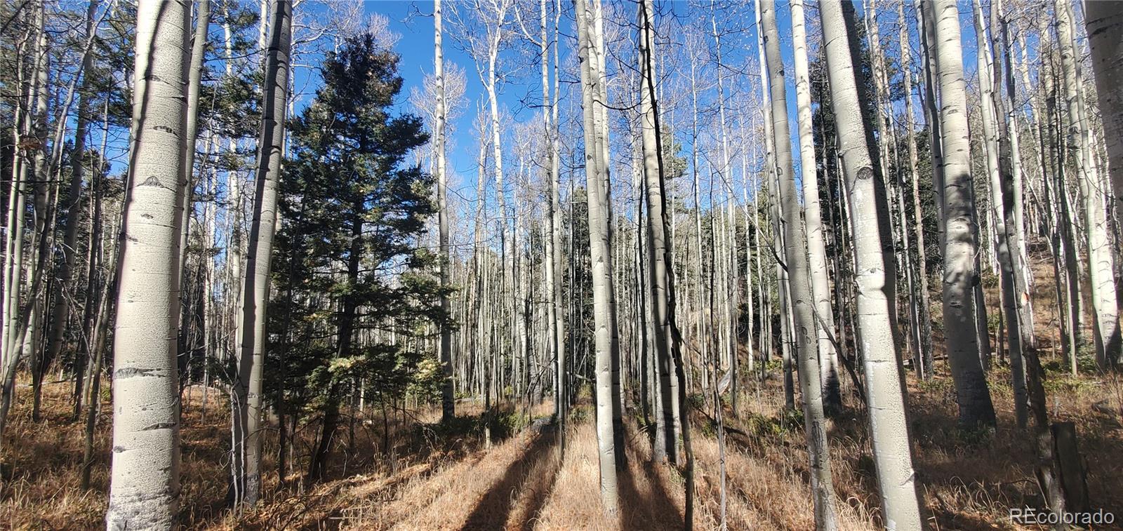 Lot 6060 Forbes Road San Luis CO 81152