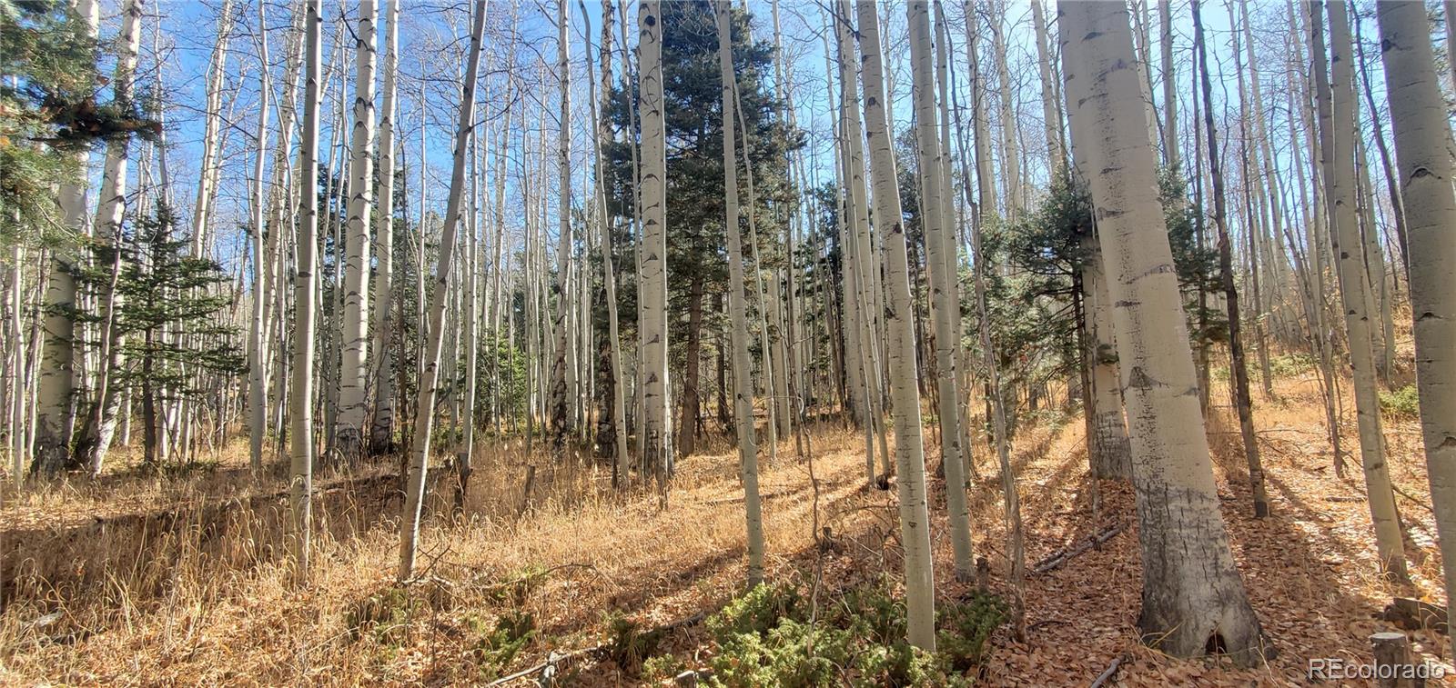 Lot 6060 Forbes Road San Luis CO 81152