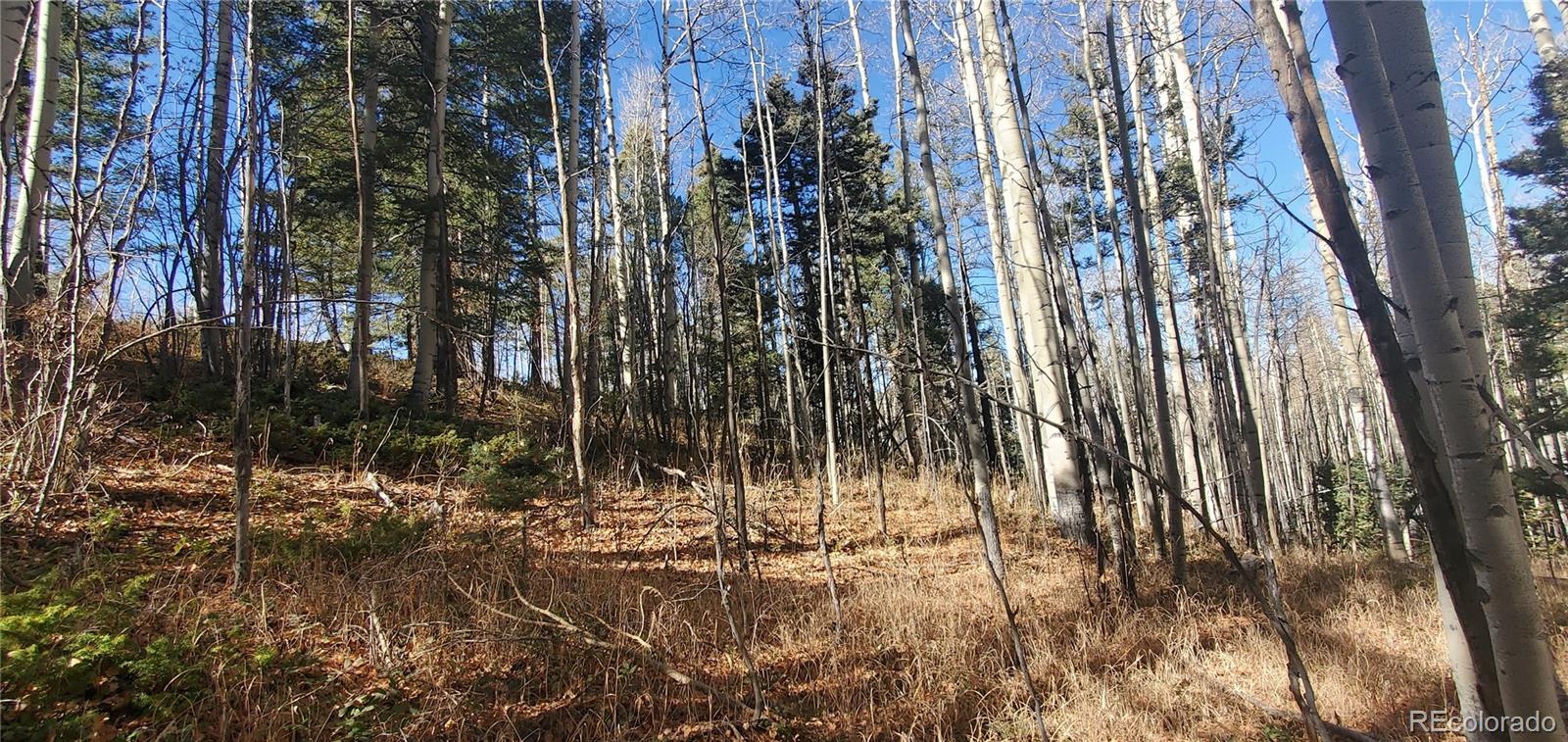 Lot 6060 Forbes Road San Luis CO 81152