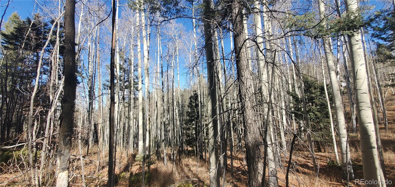 Lot 6060 Forbes Road San Luis CO 81152