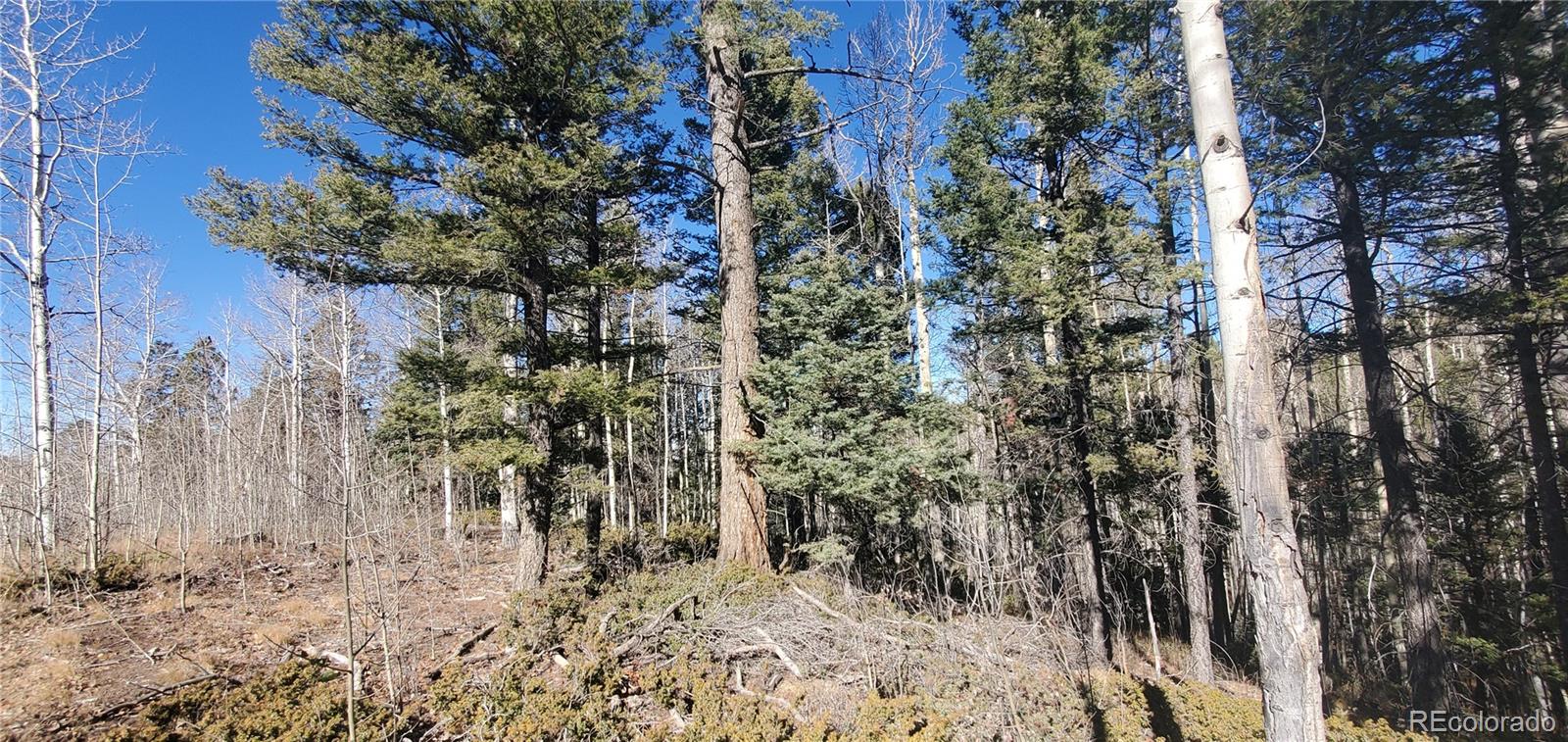 Lot 6060 Forbes Road San Luis CO 81152
