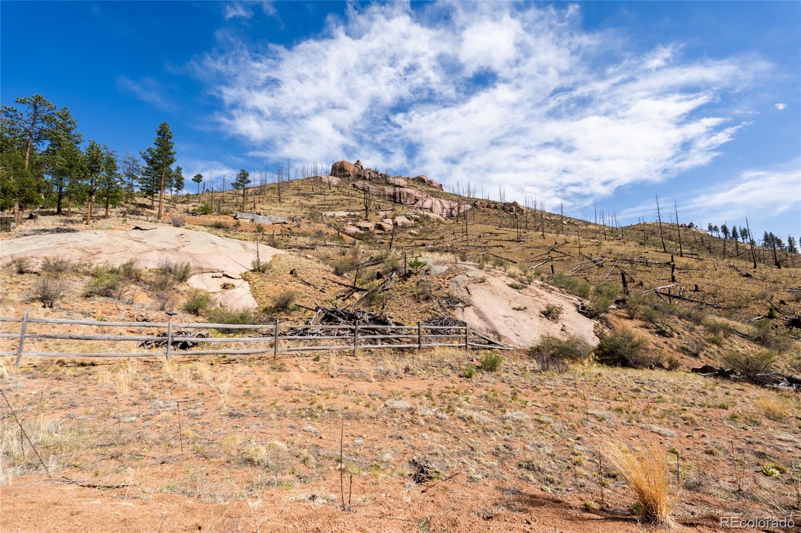 16280 Cochise Trail Pine CO 80470