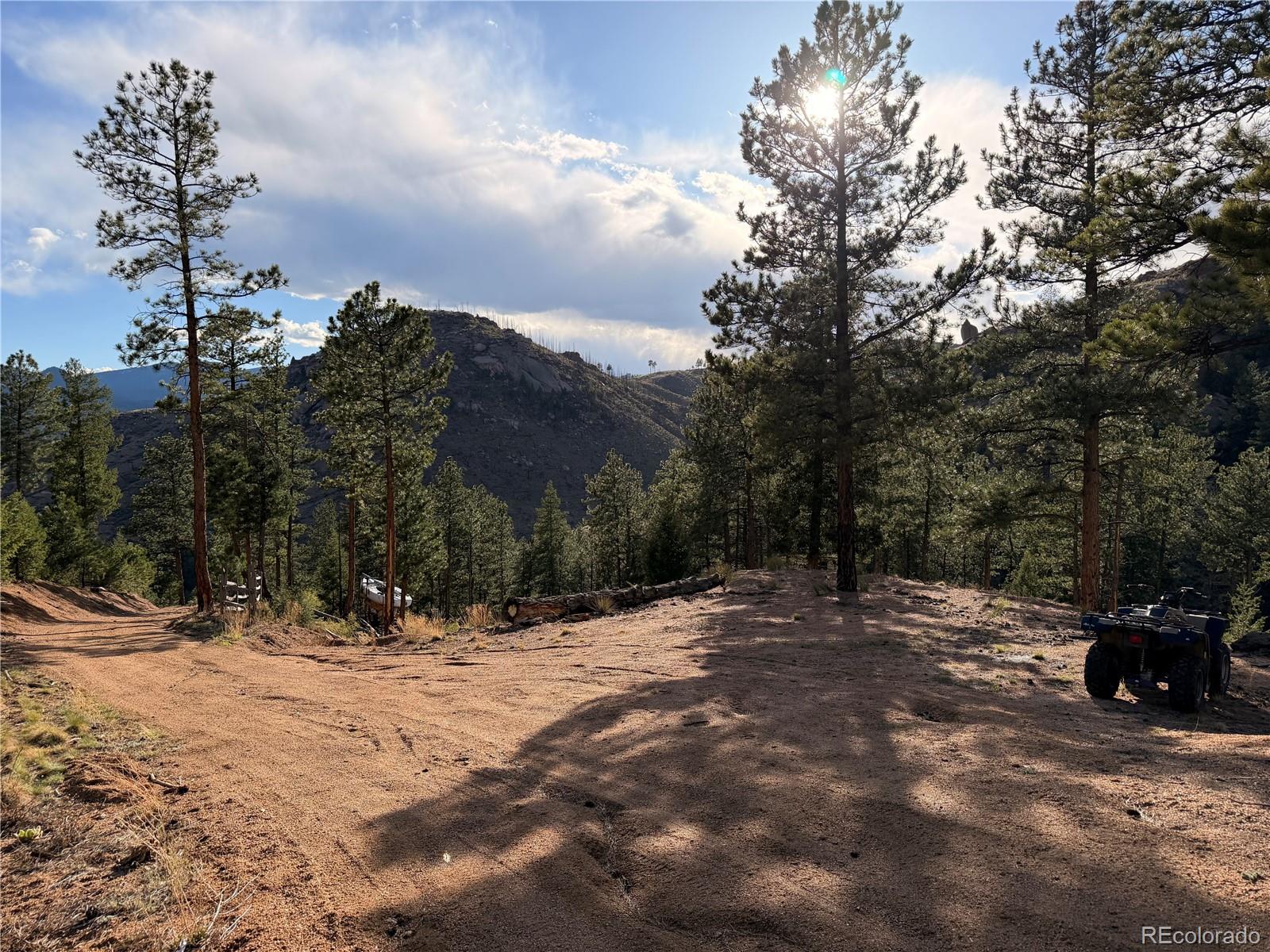 16280 Cochise Trail Pine CO 80470