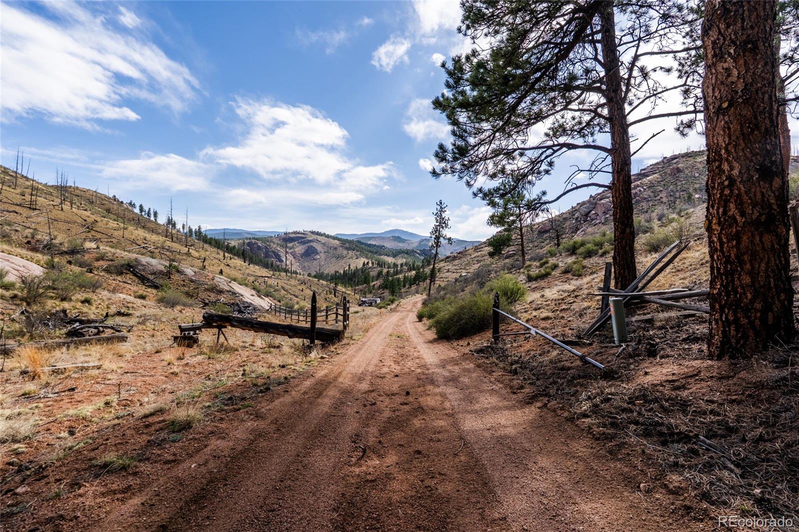 16280 Cochise Trail Pine CO 80470