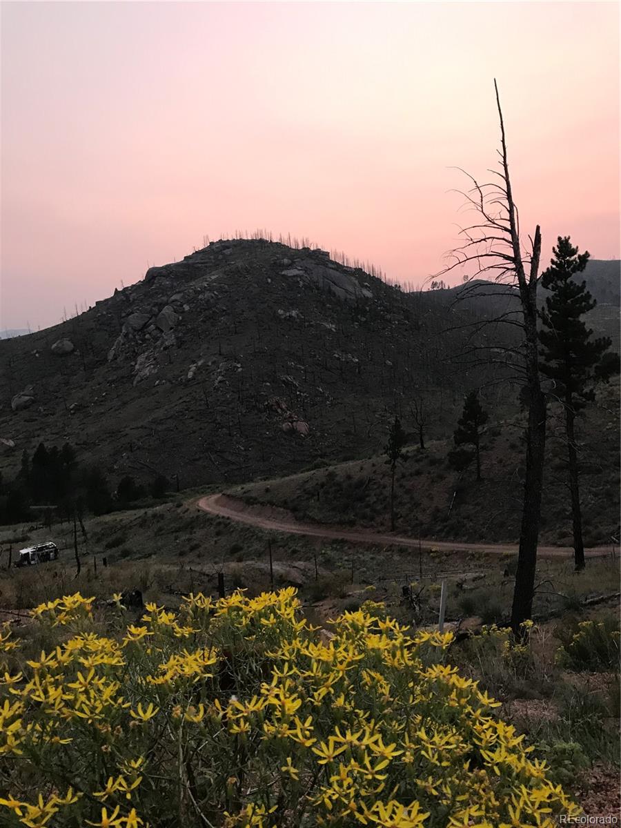 16280 Cochise Trail Pine CO 80470