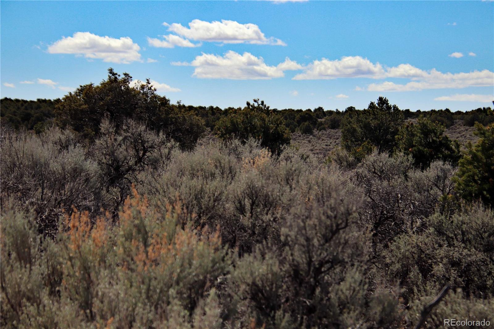 Lot 16 Gold Hawk San Luis CO 81152
