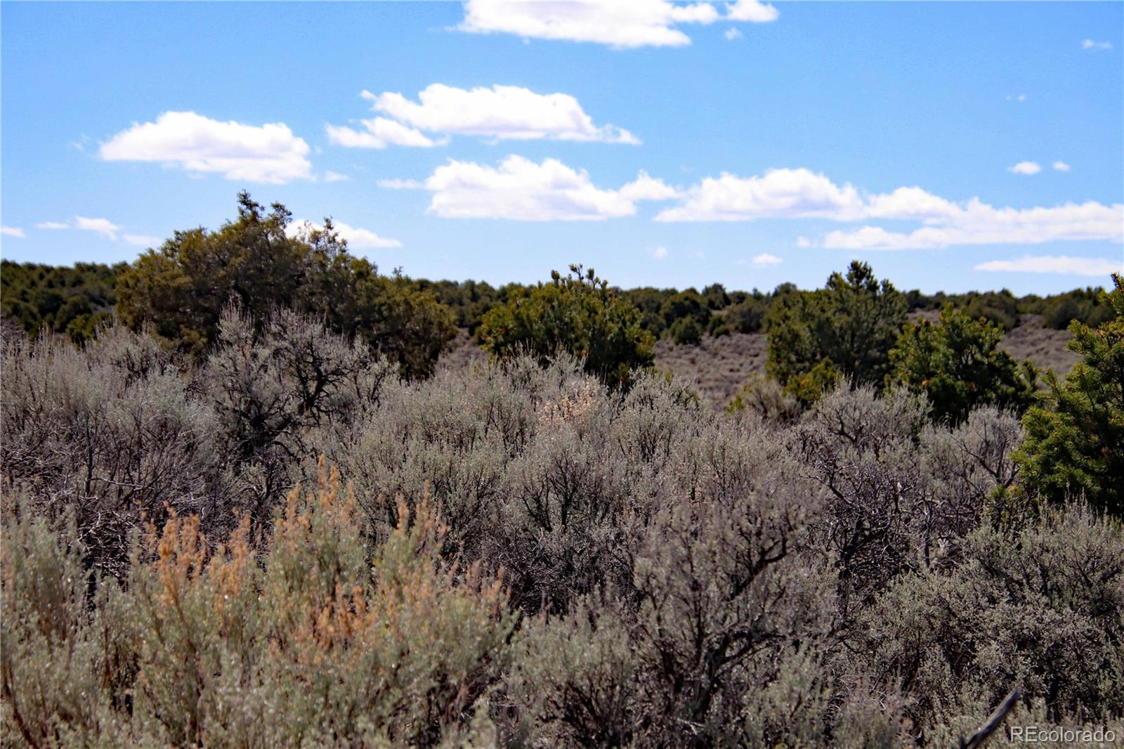 Lot 16 Gold Hawk San Luis CO 81152