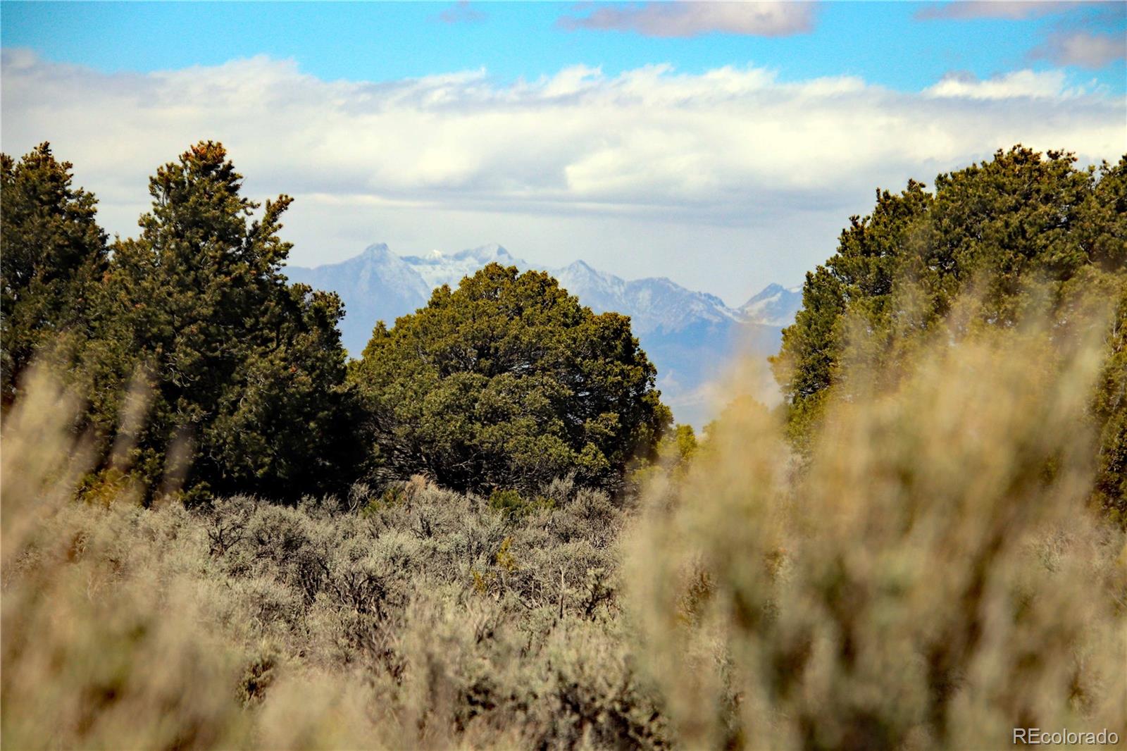 Lot 16 Gold Hawk San Luis CO 81152