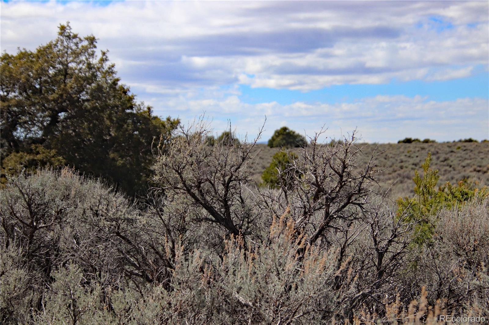 Lot 16 Gold Hawk San Luis CO 81152