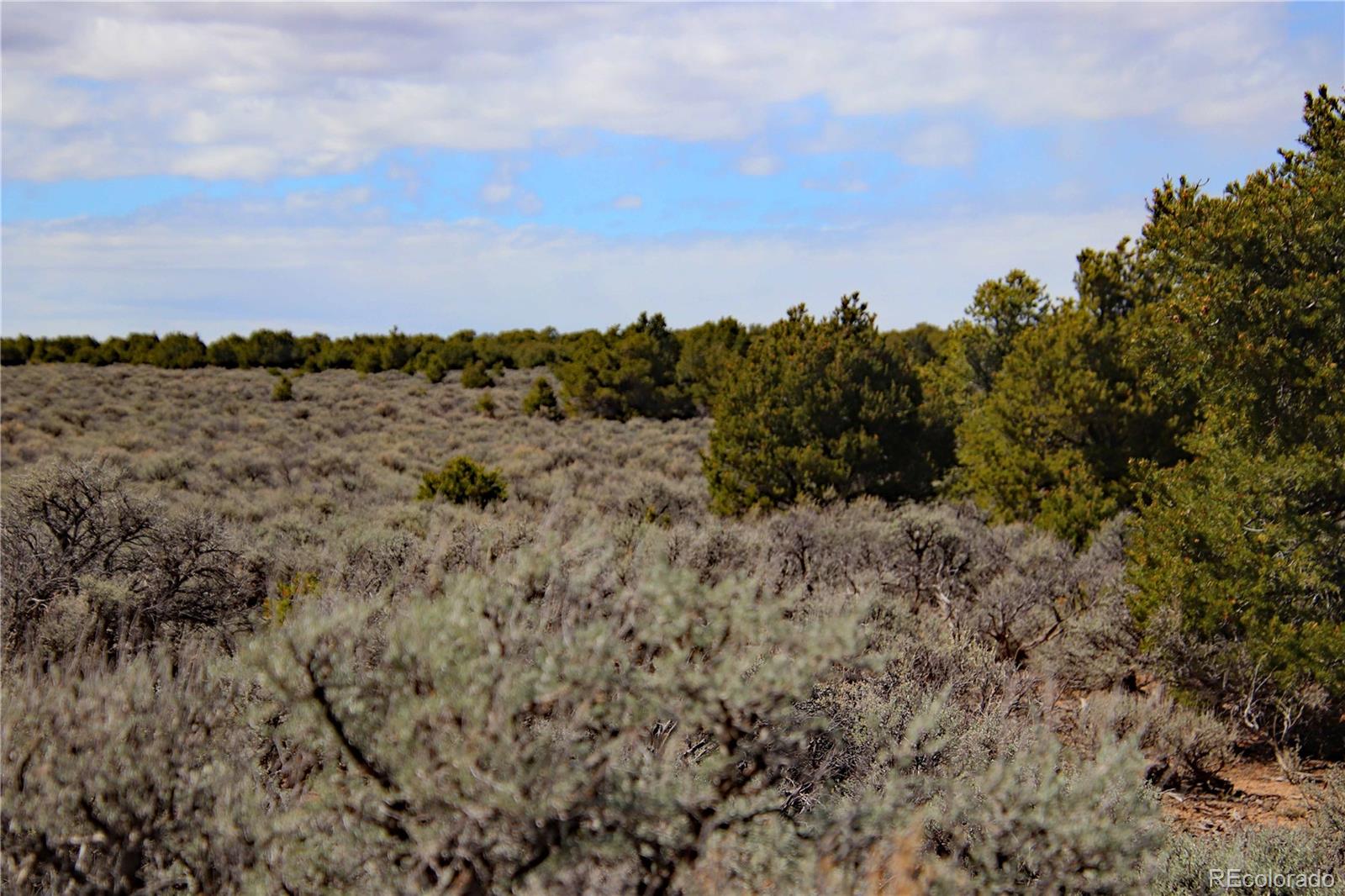 Lot 16 Gold Hawk San Luis CO 81152