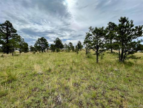 32011 Cattle Circle Ramah CO 80832