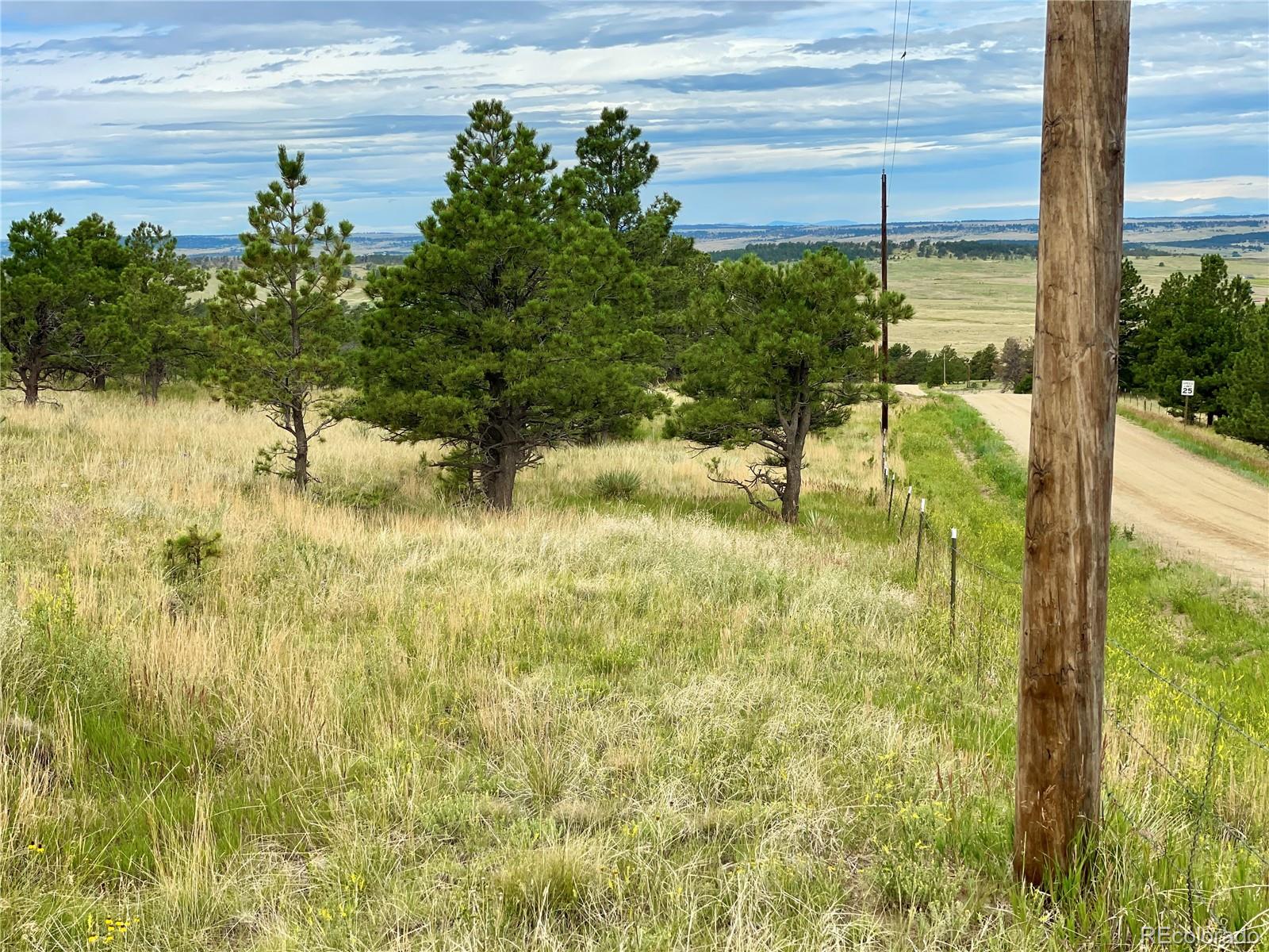 32011 Cattle Circle Ramah CO 80832