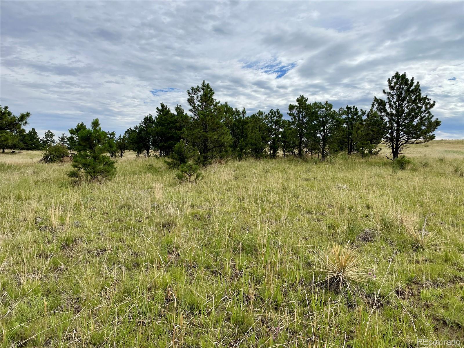 32011 Cattle Circle Ramah CO 80832