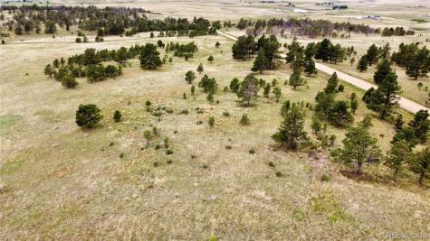 32011 Cattle Circle Ramah CO 80832