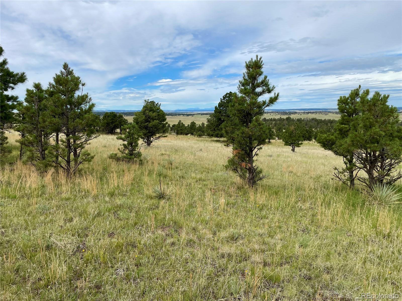 32011 Cattle Circle Ramah CO 80832
