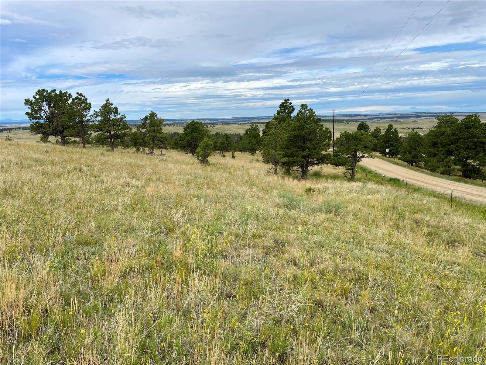 32011 Cattle Circle Ramah CO 80832