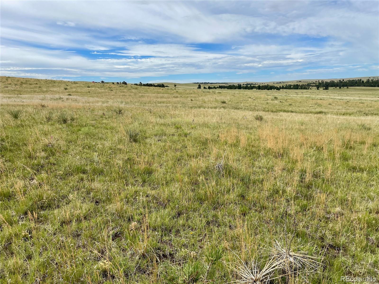 32011 Cattle Circle Ramah CO 80832