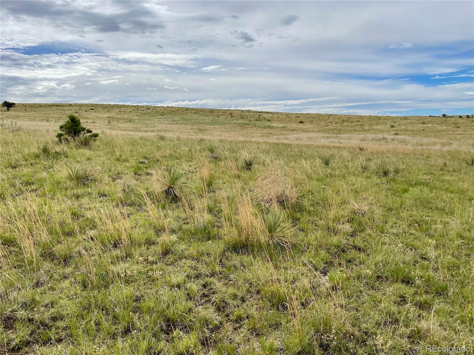 32011 Cattle Circle Ramah CO 80832