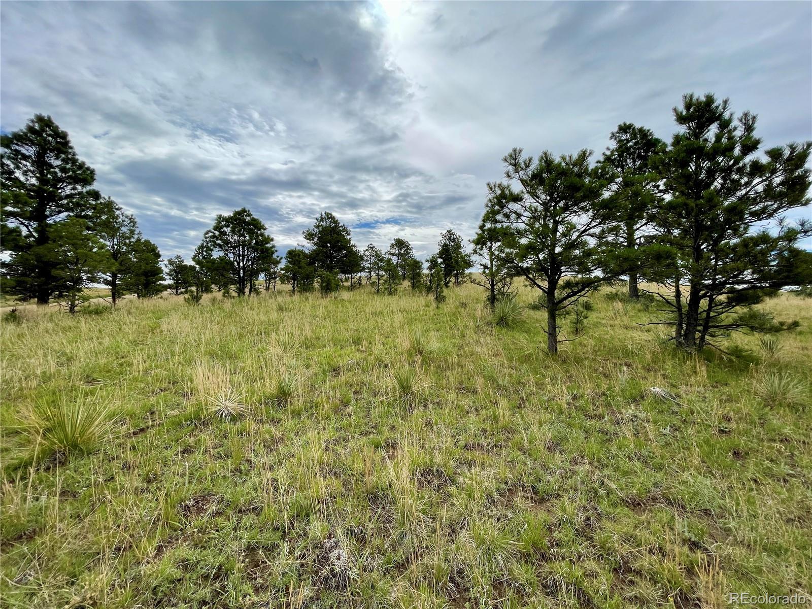 32011 Cattle Circle Ramah CO 80832