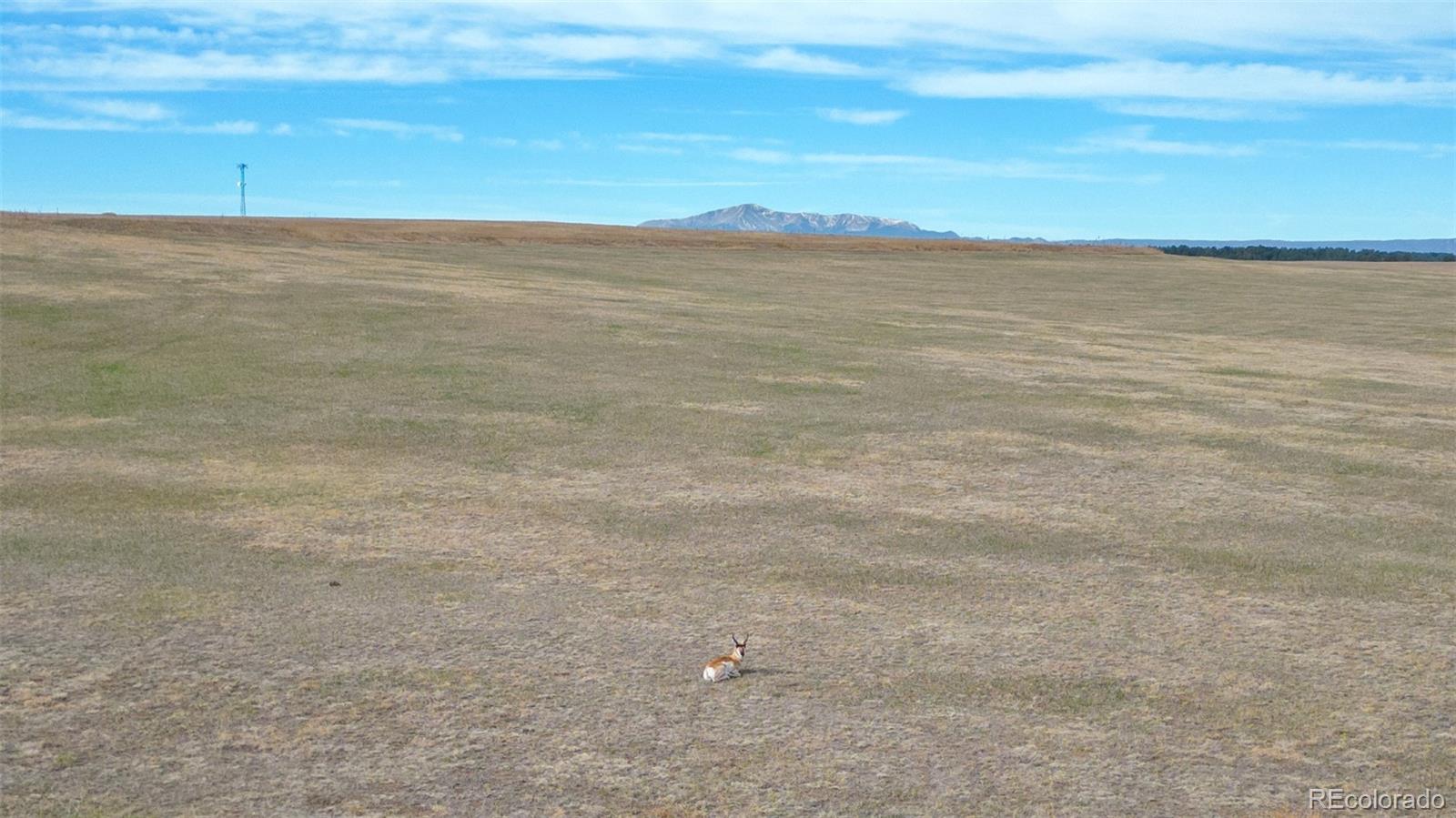 2 County Road 94 Elbert CO 80106
